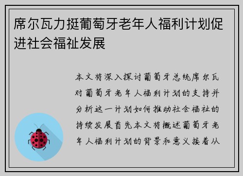 席尔瓦力挺葡萄牙老年人福利计划促进社会福祉发展