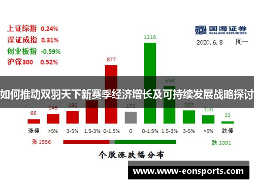 如何推动双羽天下新赛季经济增长及可持续发展战略探讨