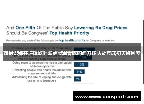 如何识别并选择欧洲联赛冠军青睐的潜力球队及其成功关键因素